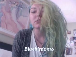 Bluebird0316