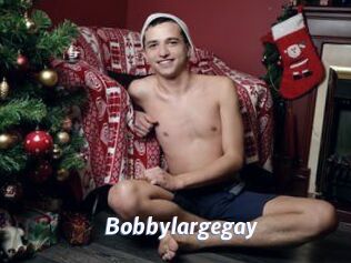 Bobbylargegay