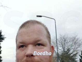 Boedha