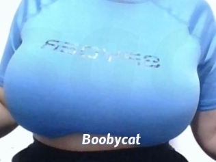 Boobycat