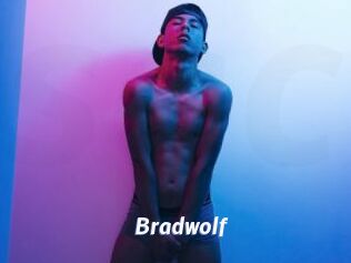 bradwolf Sexe amateur contributions