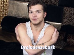 Braindensebush