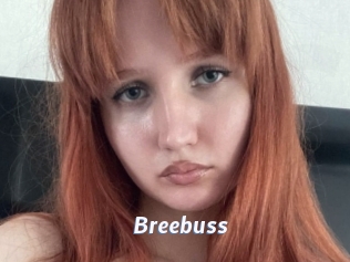 Breebuss