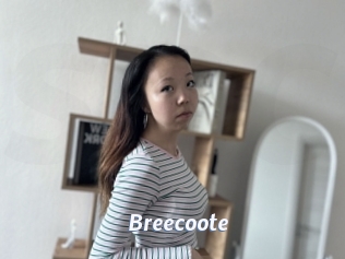 Breecoote