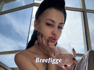 breefigge Sexe amateur contributions