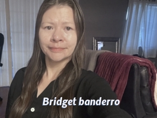 Bridget_banderro