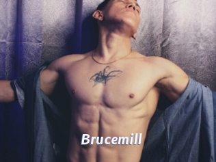 Brucemill