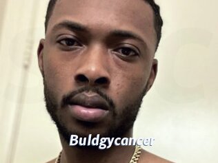 Buldgycancer