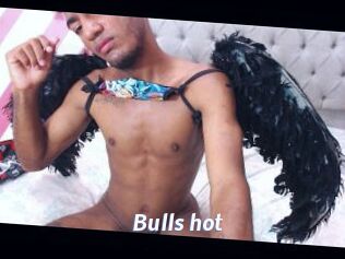 Bulls_hot