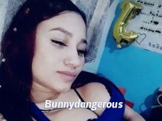 Bunnydangerous