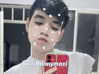 Bunnymaxi