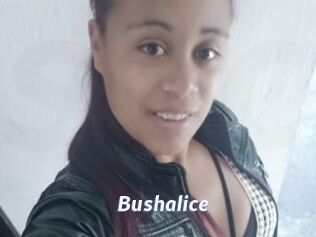 Bushalice