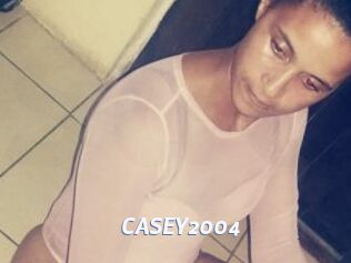 CASEY2004