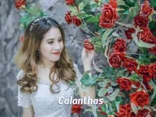 Calanthas