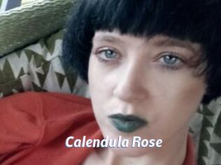 Calendula_Rose