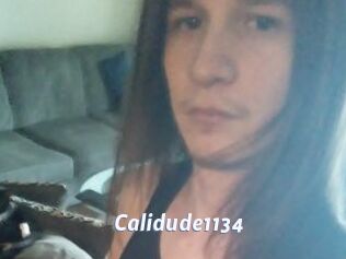 Calidude1134