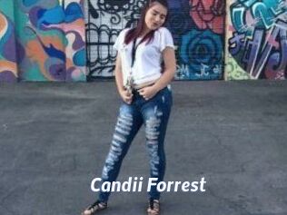 Candii_Forrest