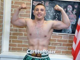 CarlitoBoxer