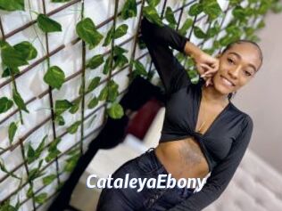 CataleyaEbony