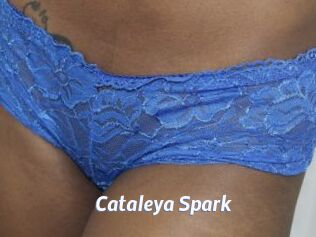 Cataleya_Spark