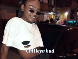 Cattleya_bad