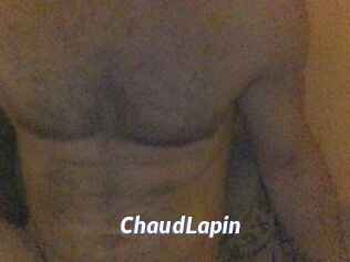 ChaudLapin