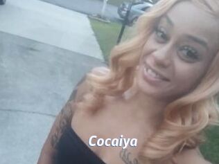 Cocaiya