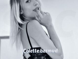 Colette_bermud