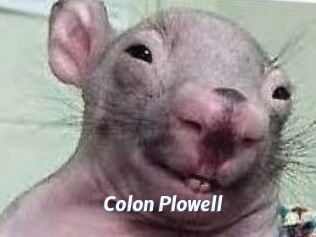 Colon_Plowell