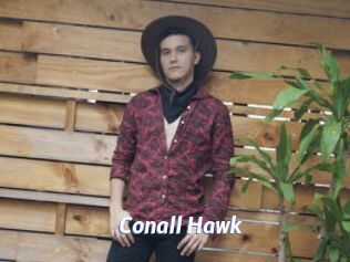 Conall_Hawk