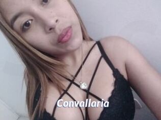 Convallaria
