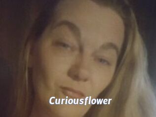 Curiousflower