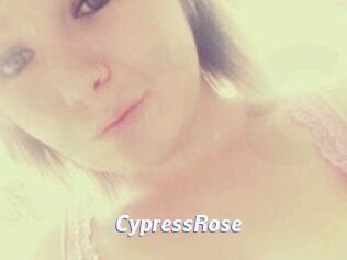 Cypress_Rose