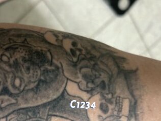 C1234