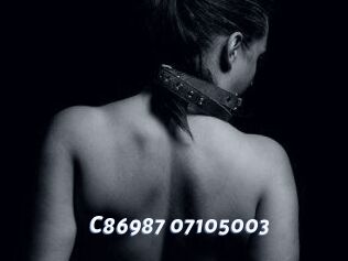 C86987-07105003