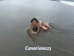 Canariona23