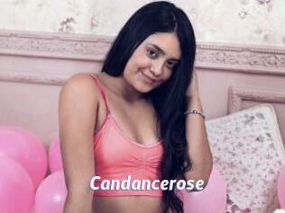 Candancerose