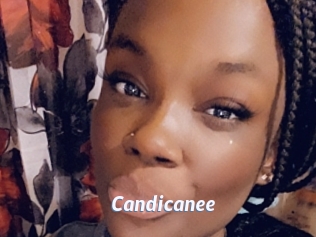 Candicanee