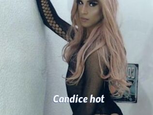 Candice_hot