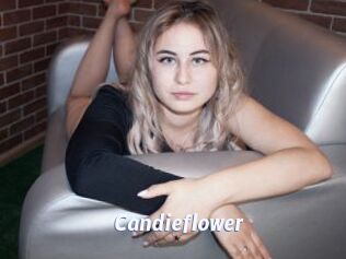 Candieflower