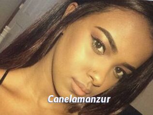 Canelamanzur