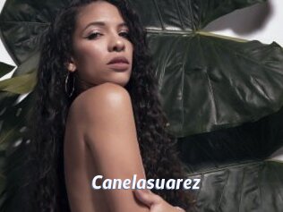 Canelasuarez