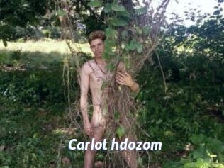 Carlot_hdozom