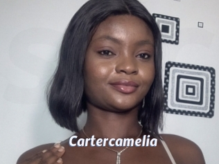 Cartercamelia