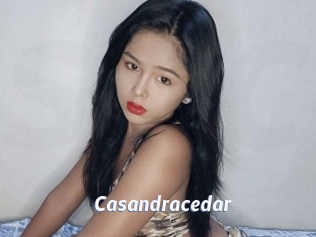 Casandracedar