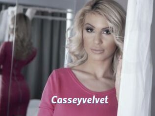 Casseyvelvet