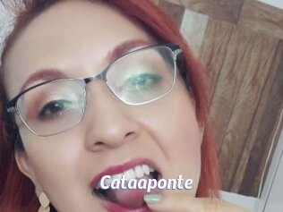 Cataaponte