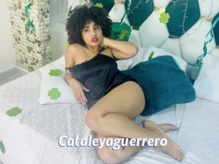 Cataleyaguerrero
