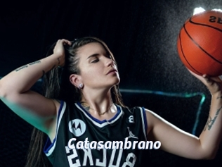 Catasambrano
