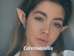 Caterinacollis